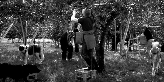 Living Together　共に生きる